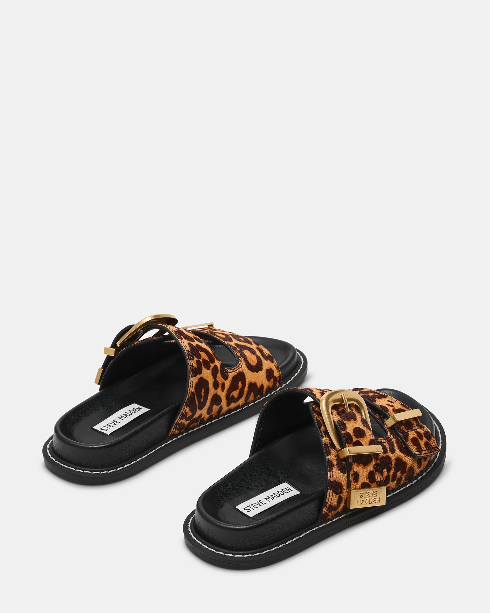 ARCH-L LEOPARD