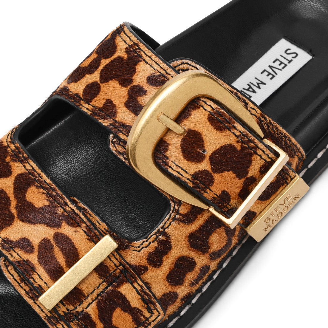 ARCH-L LEOPARD