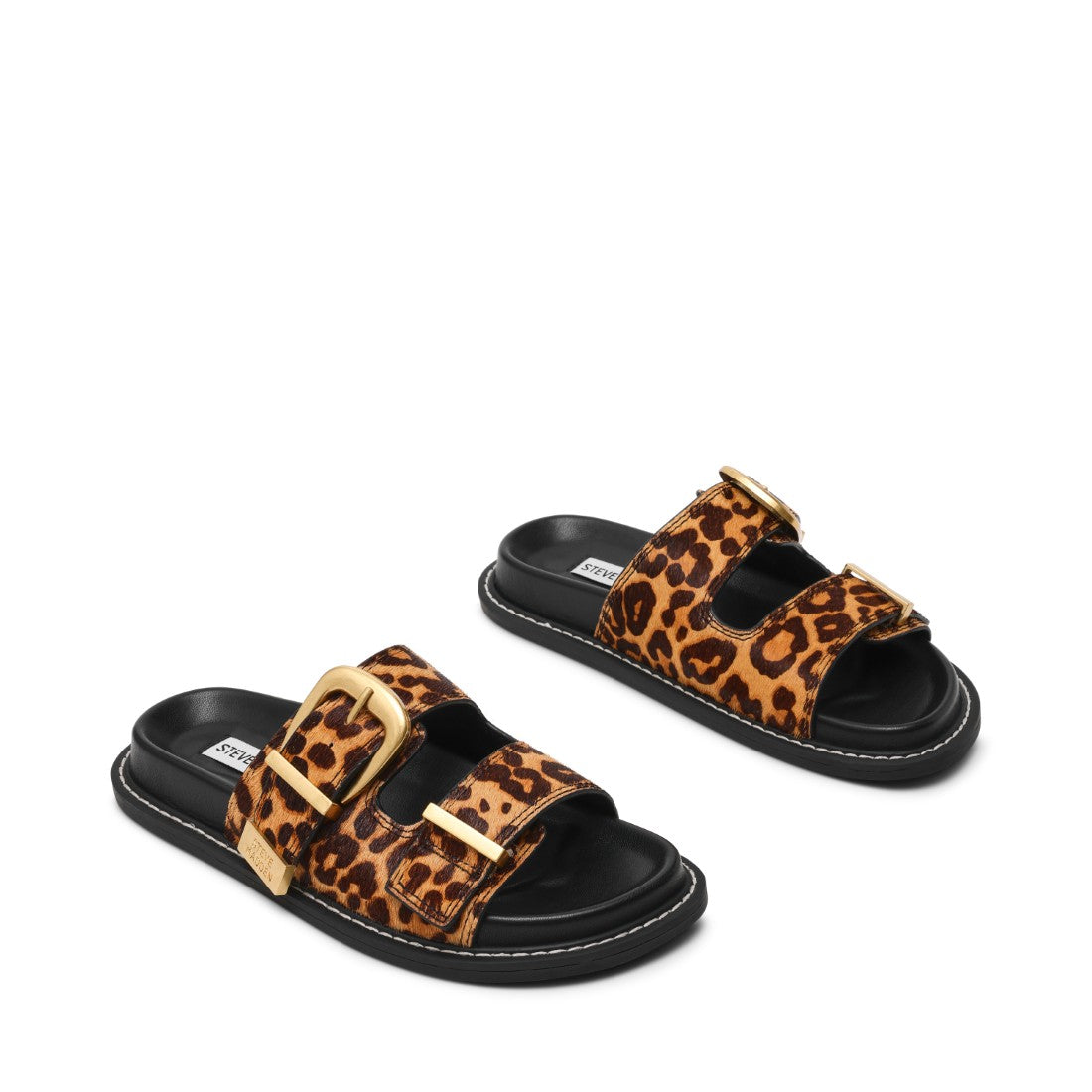 ARCH-L LEOPARD