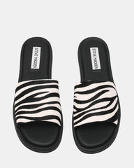 KAYA ZEBRA