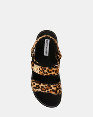 MONA LEOPARD